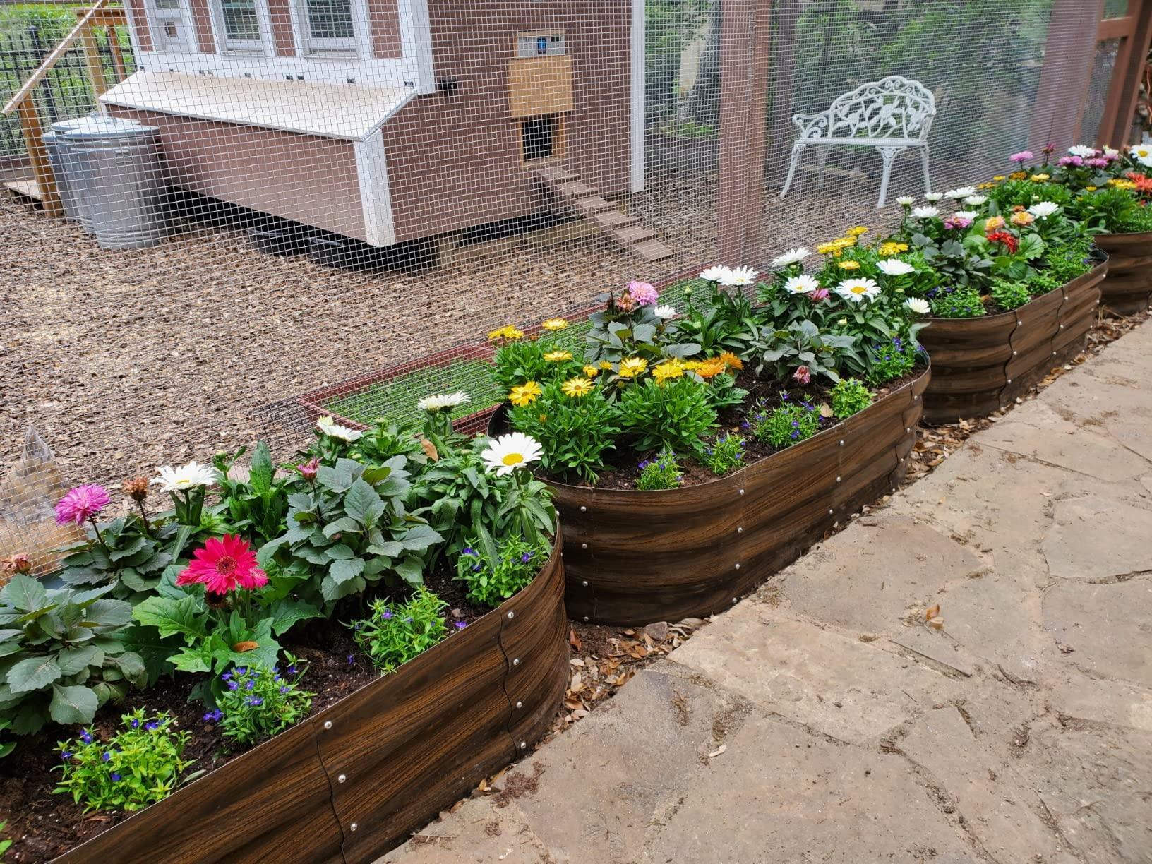 Wooden raised garden beds with colorful flowers beside a chicken coop and stone path