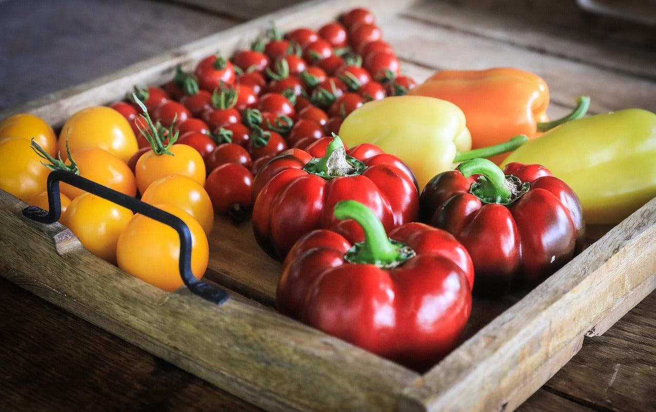 Fresh garden tomatoes and bell peppers in rustic wooden tray, showcasing homegrown harvest