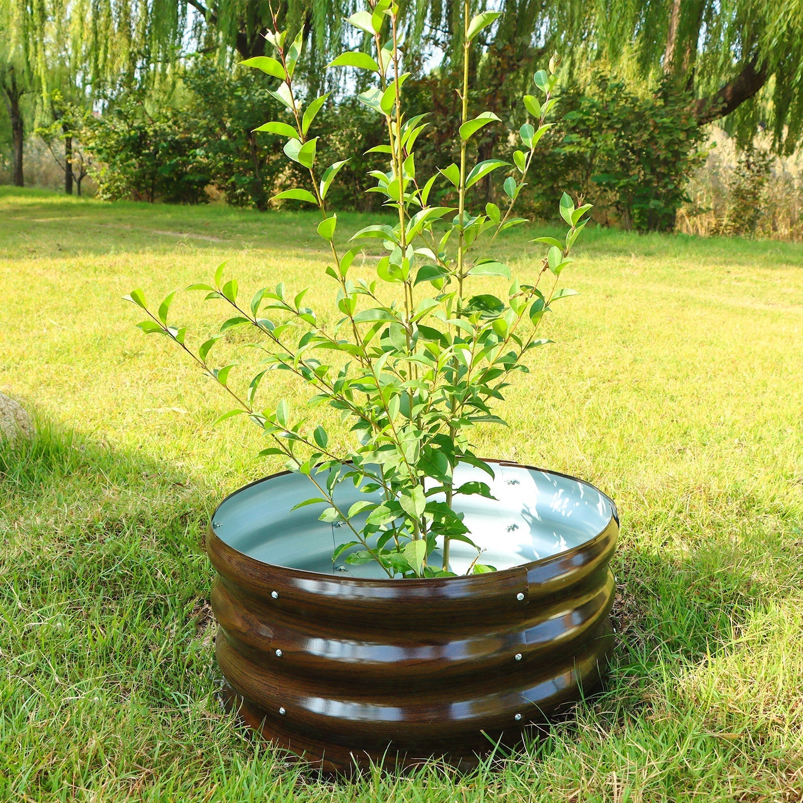 Round metal raised garden bed with young plant in sunny lawn, durable outdoor planter for American gardens