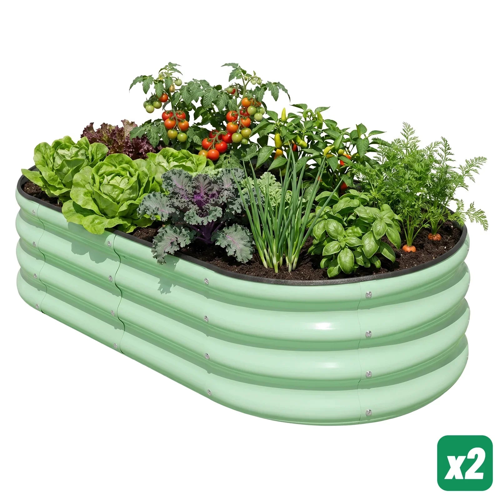Green metal raised garden bed filled with tomatoes, lettuce, kale, herbs, and carrots for backyard gardening.