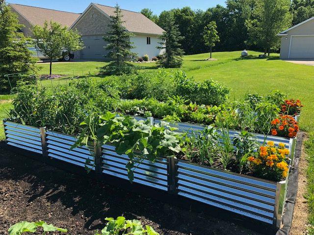 Metal raised garden bed filled with lush vegetables and flowers in sunny backyard