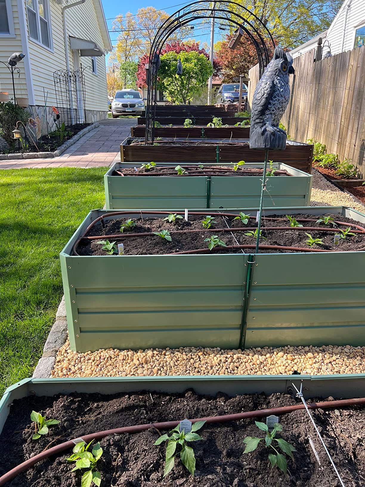 Green metal raised garden beds with young plants, drip irrigation, and decorative owl in sunny backyard