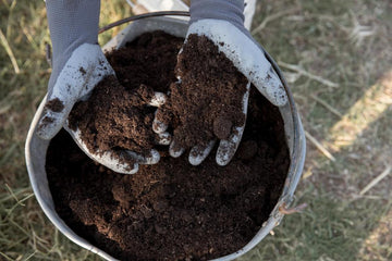 Gardener's gloved hands holding rich soil over a metal bucket, ready for planting in raised garden beds.