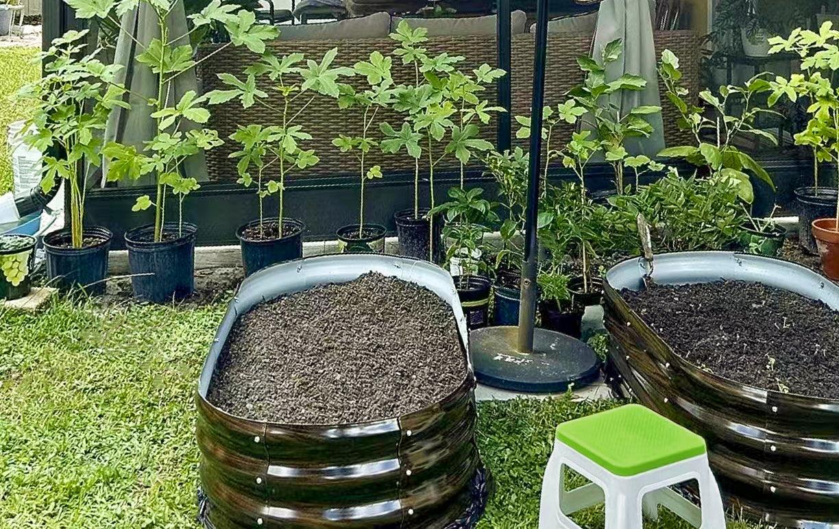 Metal raised garden beds filled with soil, surrounded by potted plants in a lush backyard garden setting.