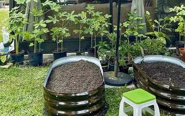 Metal raised garden beds filled with soil, surrounded by potted plants in a lush backyard garden setting.