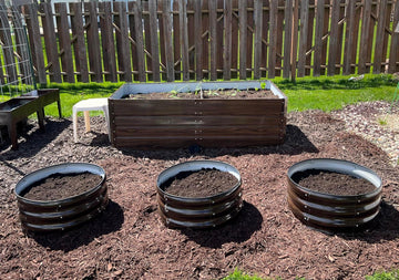 Metal raised garden beds with soil and seedlings in backyard, ideal for American gardeners