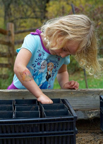 Child planting in a black plastic seedling tray outdoors near a wooden garden bed