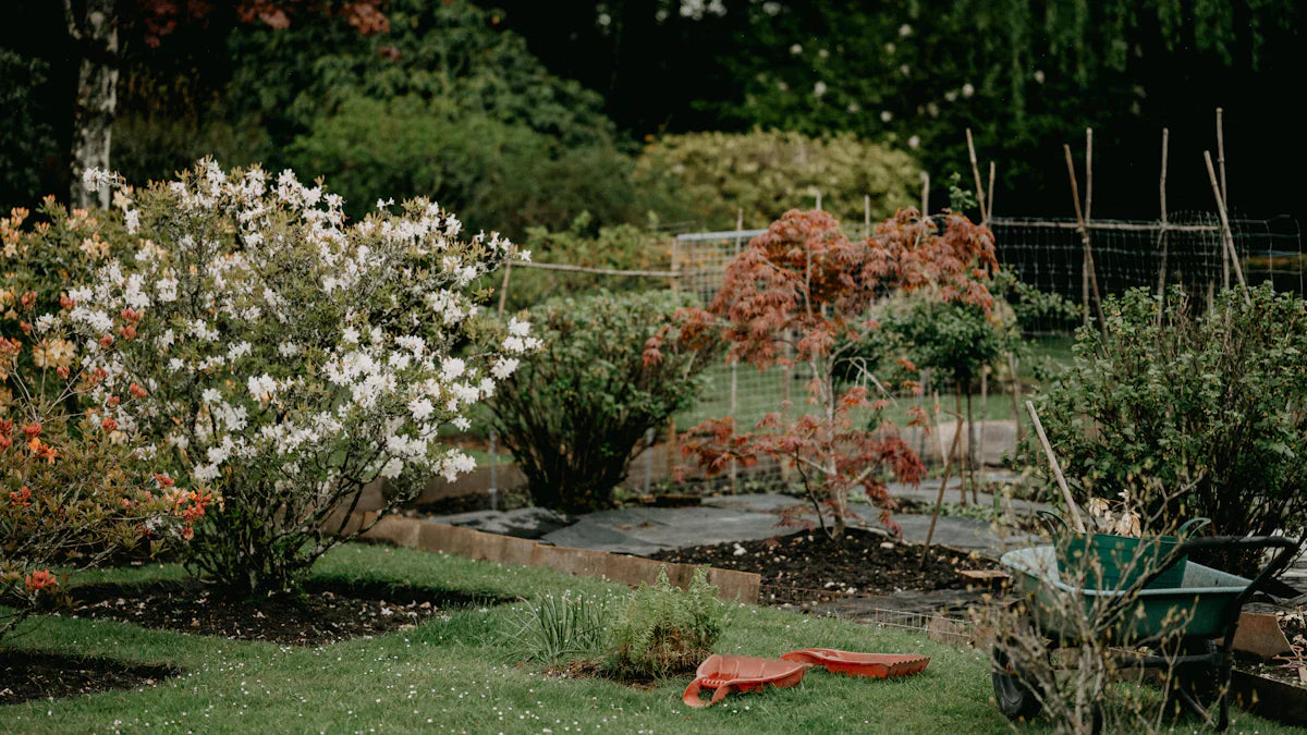 Lush garden with blooming shrubs, raised beds, and gardening tools—perfect for American gardeners.