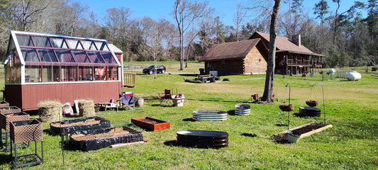 Metal raised garden beds in sunny backyard with greenhouse and log cabin, perfect for American gardeners