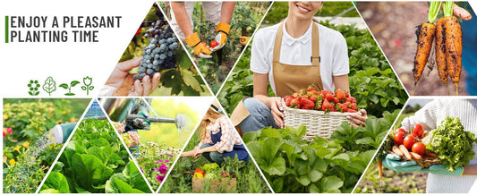 Gardeners harvesting fresh strawberries, grapes, carrots, and lettuce in lush raised beds