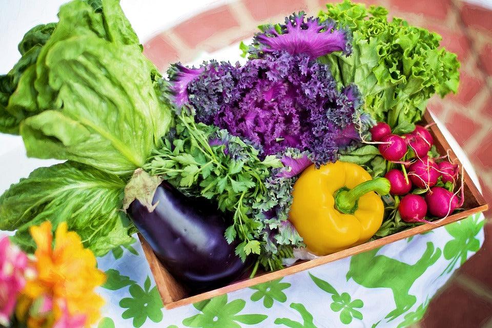 Fresh garden harvest with lettuce, purple kale, eggplant, yellow pepper, and radishes in wooden crate