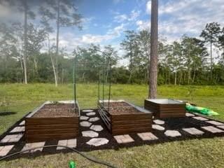 Wooden raised garden beds in backyard with stone path, ideal for American gardeners