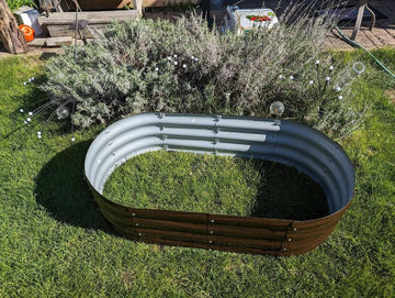 Oval metal raised garden bed with wood base, set in green lawn beside shrubs and garden decor