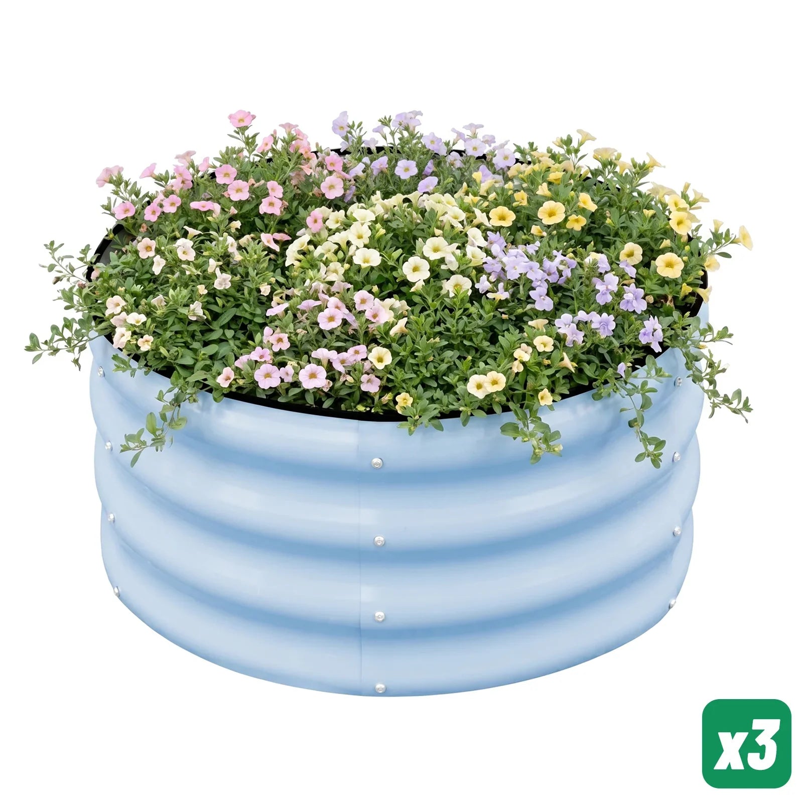 Light blue metal raised garden bed filled with colorful petunias, ideal for outdoor gardening.