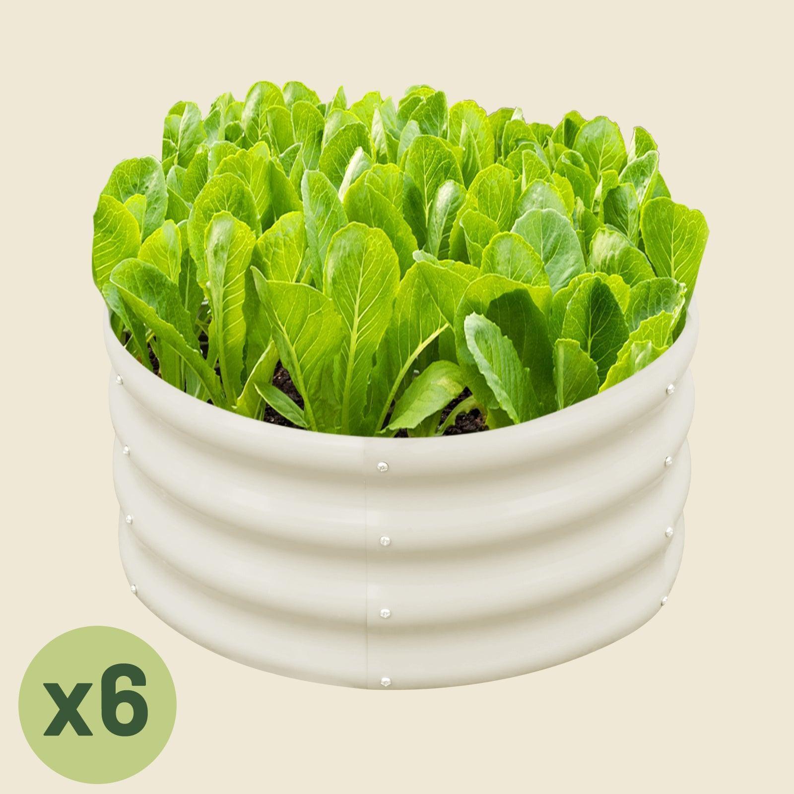 6-Pack 12" Tall 2x2 ft Modular Metal Raised Garden Bed Kit -