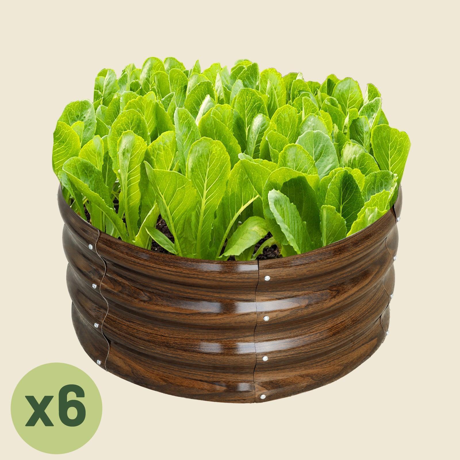 6-Pack 12" Tall 2x2 ft Modular Metal Raised Garden Bed Kit -