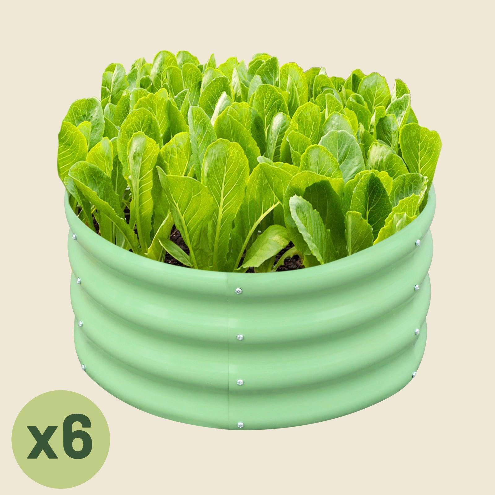 6-Pack 12" Tall 2x2 ft Modular Metal Raised Garden Bed Kit -
